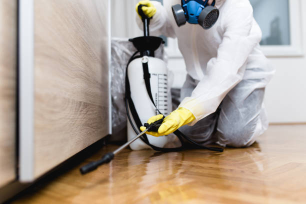 Professional Pest Control in Colwyn, PA
