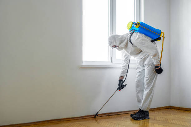 Wildlife Control Services in Colwyn, PA