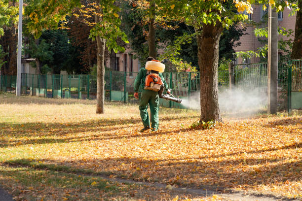 Best Insect Control  in Colwyn, PA